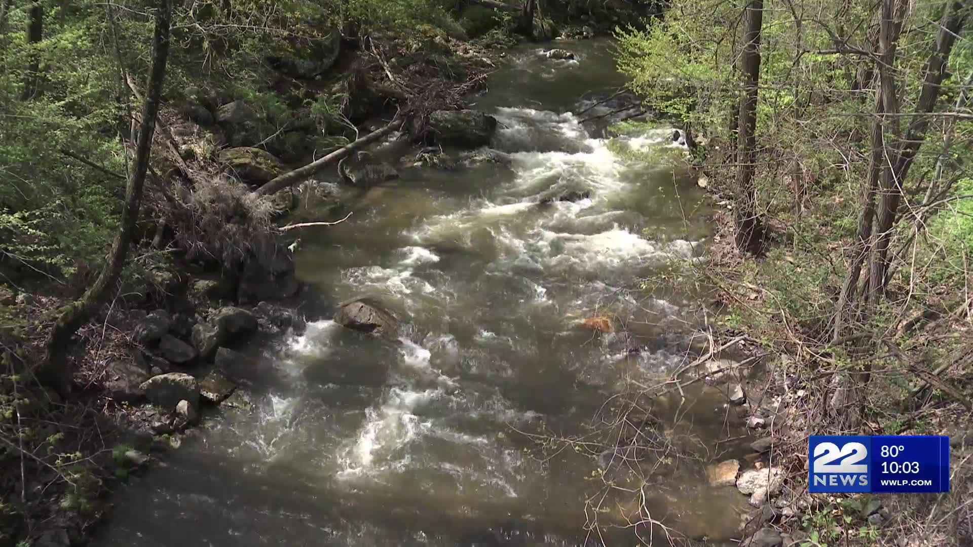 Heavy rain prompts flash flood warnings: Clean gutters to prevent ...